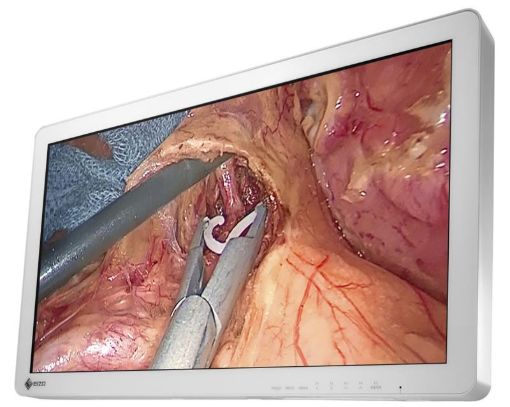 Billede af EIZO 27'' FHD Curator 2D Surgical monitor