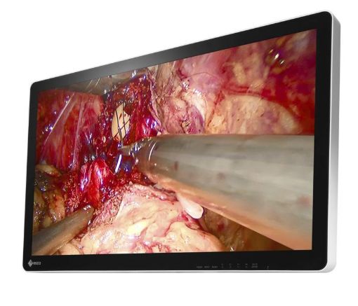 Billede af EIZO 31,5'' FHD CuratOR 3D endoskopimonitor