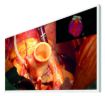 Billede af EIZO 43'' CuratOr 4K monitor
