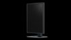 Billede af EIZO 21'' RadiForce MX217, Black, 2MP Color