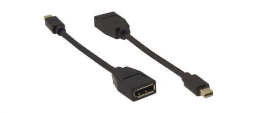 Billede af KRAMER Mini DisplayPort (M) to DisplayPort (F) Adapter Cable