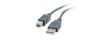 Billede af KRAMER 1,8m USB 2.0 A (M) to B (M) Cable